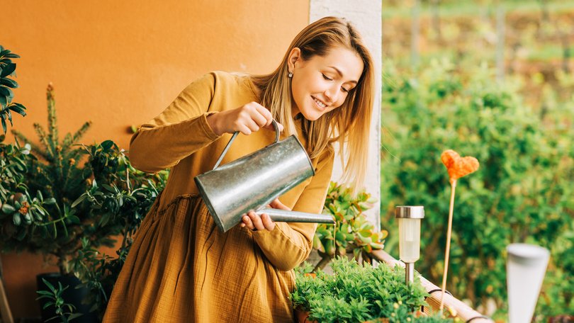 Indoor plants will improve the air. But only if they’re real ones.
