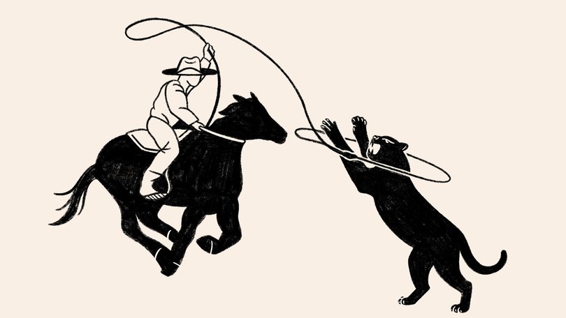 THE WASHINGTON POST: We’re wired to be negative, but you can reset your thinking.