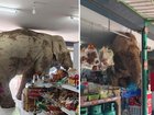 A hungry elephant looking for snacks destroyed a store in Thialand.