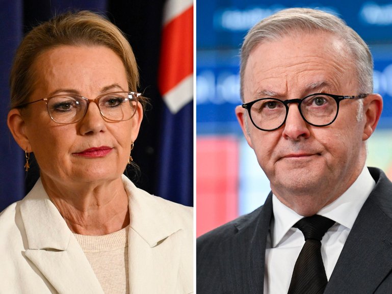 Sussan Ley has opened up on her teenage years, meanwhile Anthony Albanese has rejected US beef.