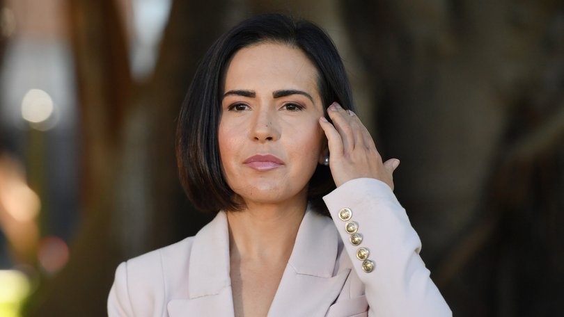 NSW Deputy Premier Prue Car has revealed she has been diagnosed with breast cancer