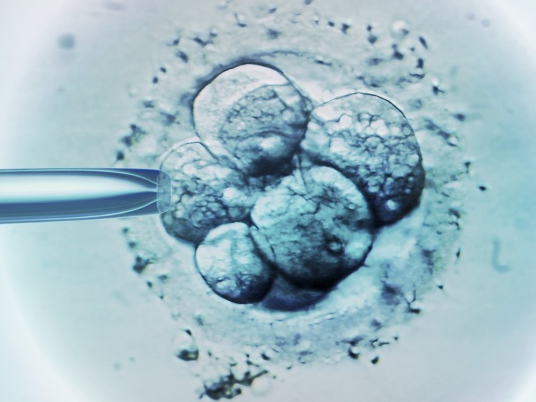 Monash IVF has admitted to a second embryo mishap.