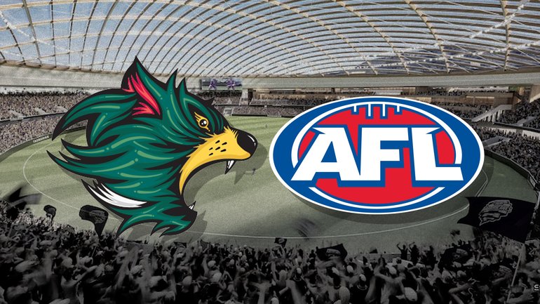 Tasmania should build the new Hobart Stadium not just for the Devils but for long-term sporting success of the State.