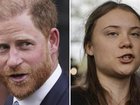 Prince Harry was under the impression he was speaking with Ms Thunberg and her father, Svante Thunberg, as he openly shared his views on everything.