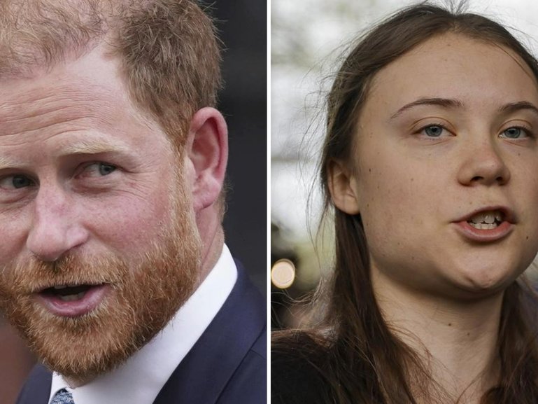 Prince Harry was under the impression he was speaking with Ms Thunberg and her father, Svante Thunberg, as he openly shared his views on everything.