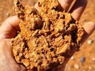 A 895g gold nugget found in Sandstone.