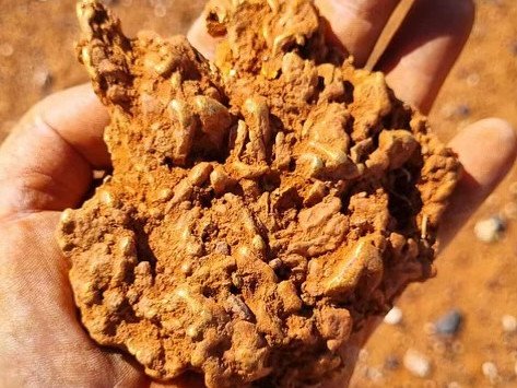 A 895g gold nugget found in Sandstone.