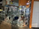 The pursuit left a huge damage bill after the car hit shops and street signs along the way. 