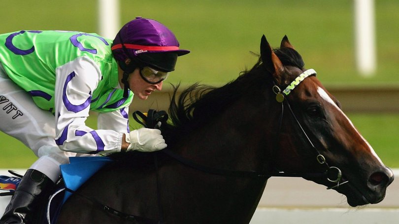 Four-time Australian Champion stallion Snitzel has died at the age of 23.