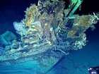 Treasure hunters say they have discovered the G.O.A.T of all finds.