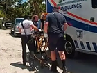 Nine-year-old Leah Lendel was bitten by a shark as she snorkelled off Boca Grande, Florida.