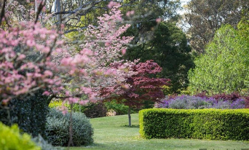 The gardens of the mountain estate with its cool-weather garden.