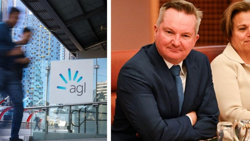Chris Bowen's price cap regulator announcement on Wednesday has drawn criticism from energy providers. Supplied
