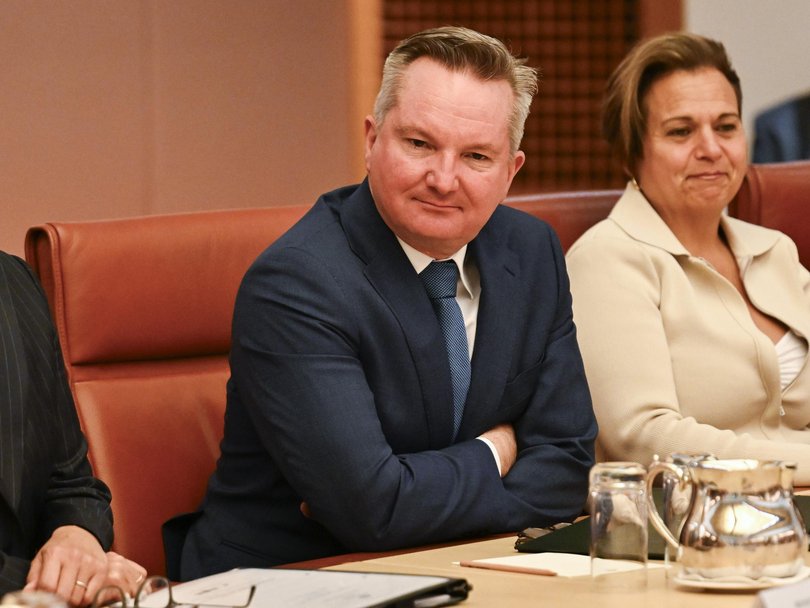 Energy Minister Chris Bowen has announced his intention to overhaul price cap regulators in 2026. Picture: NewsWire / Martin Ollman