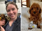 Dr Sarah at Warwick Veterinary Hospital holding Tooshie.