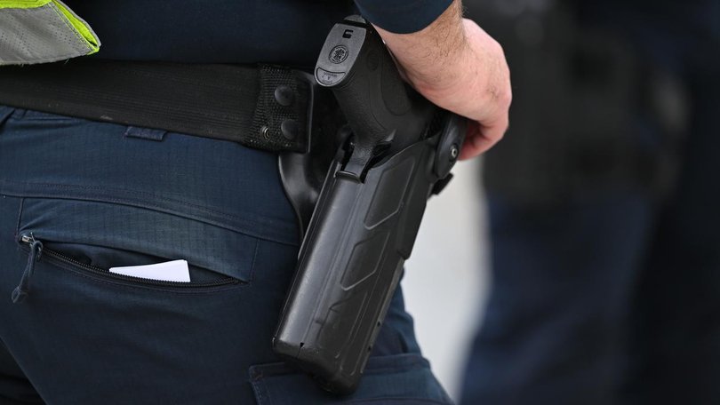 A driver was warned to "go back" 10 times before she was shot dead by a police officer.
