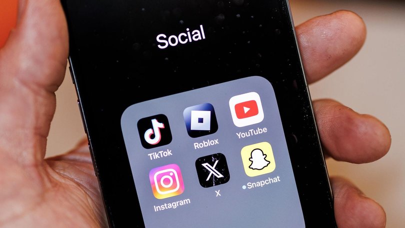 E-Safety Commissioner Julie Inman Grant has called on the Communications Minister Annika Wells not to exempt YouTube in the social media age ban. NewsWire/ Aaron Francis