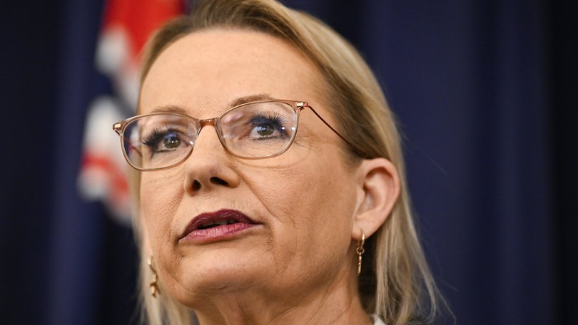 Leader of the Opposition Sussan Ley.