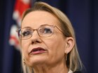 Leader of the Opposition Sussan Ley.