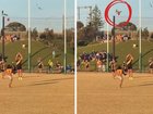 The bizarre moment was captured on camera as the bird went down during the match.
