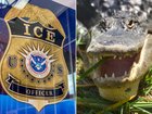 Florida officials want to build an Alligator Alcatraz