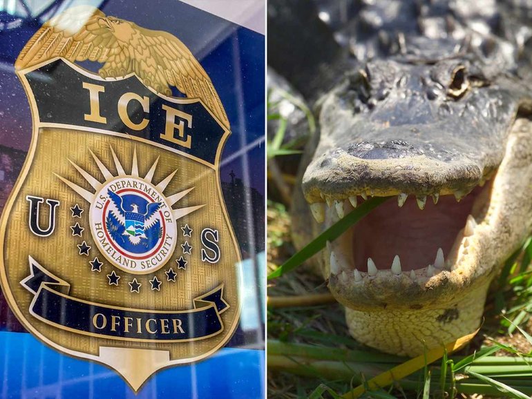 Florida officials want to build an Alligator Alcatraz