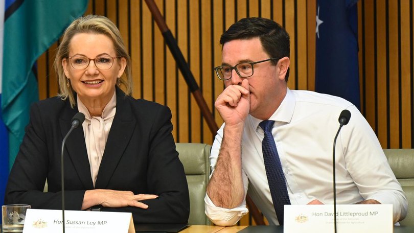 Sussan Ley has presided over the first shadow cabinet gathering since the federal election loss. (Lukas Coch/AAP PHOTOS)