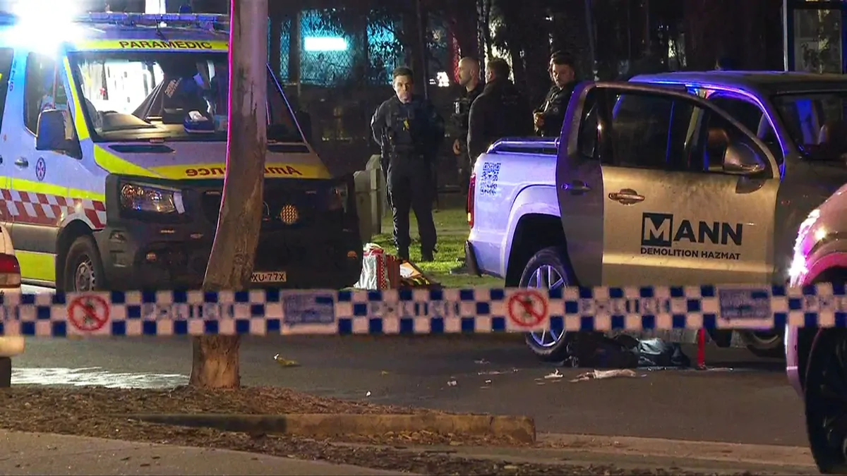 Sydney stabbing: Manhunt launched after man in 20s stabbed to death in ...