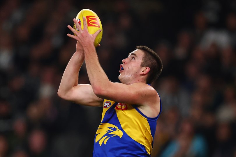 MELBOURNE, AUSTRALIA - JUNE 28: Jack Williams of the Eagles marks the ball during the round 16 AFL match between Collingwood Magpies and West Coast Eagles at Marvel Stadium on June 28, 2025 in Melbourne, Australia. (Photo by Morgan Hancock/Getty Images via AFL Photos)
