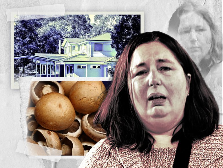 Erin Patterson has pleaded not guilty to the murder of her three lunch guests that died after a fatal beef Wellington meal. 