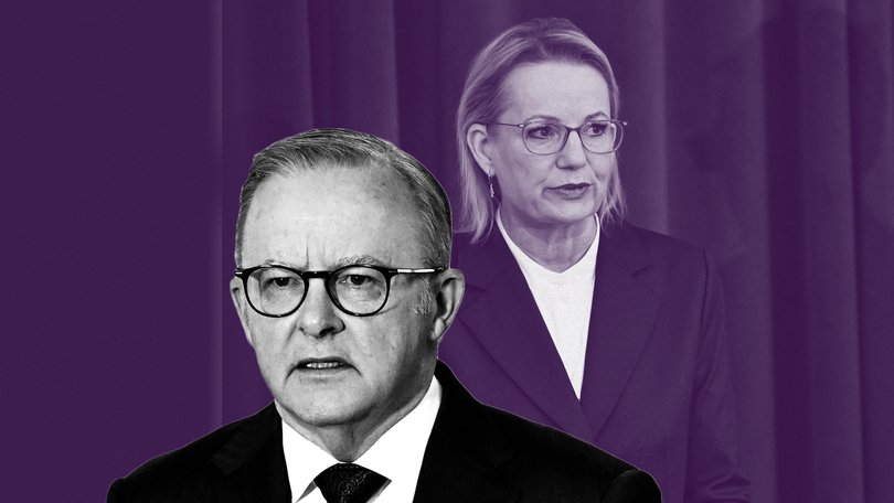 Anthony Albanese and Sussan Ley have already shown vastly contrasting political styles.
