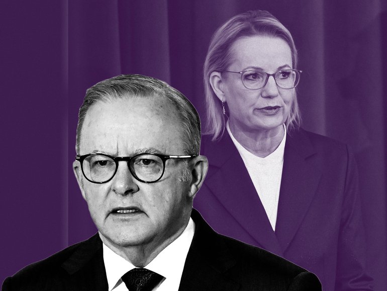 Anthony Albanese and Sussan Ley have already shown vastly contrasting political styles.