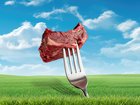 Meat & Livestock Australia has dropped their net zero target of 2030. 
