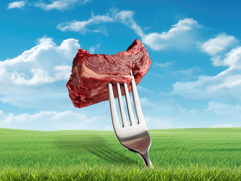 Meat & Livestock Australia has dropped their net zero target of 2030. 