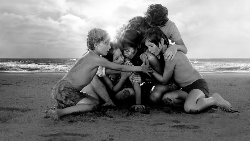 Roma was denied an Oscar best picture because it was a Netflix release and the streamer refused to give it a wide theatre showing.