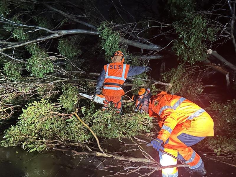 NSW SES working on trees downed by the storm.