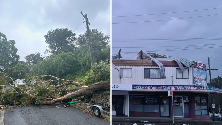 Destruction frm the 'bomb cyclone'