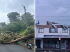 Destruction frm the 'bomb cyclone'