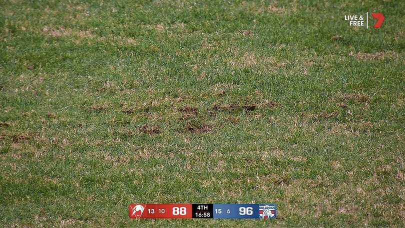 Controversy about the quality of the turf at the SCG during the game between the Sydney Swans and the Western Bulldogs.