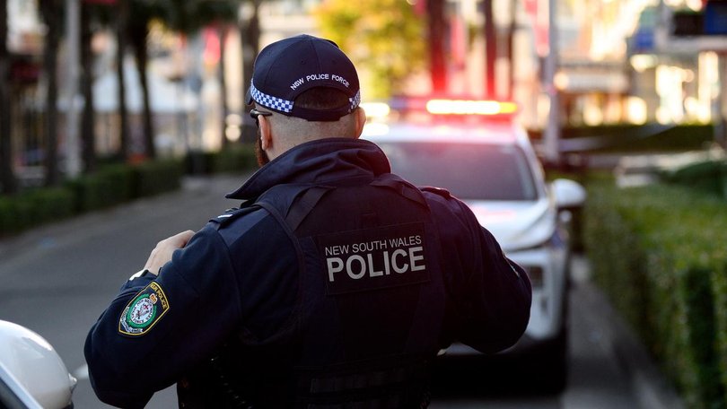 Police have arrested two teens after two properties were fired upon.