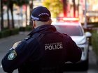Police have arrested two teens after two properties were fired upon.