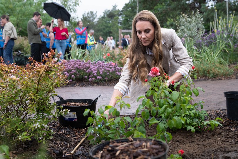 Catherine, Princess of Wales, planting a rose during a visit to the RHS's Wellbeing Garden at Colchester Hospital (Photo by Stefan Rousseau - WPA Pool/Getty Images)
