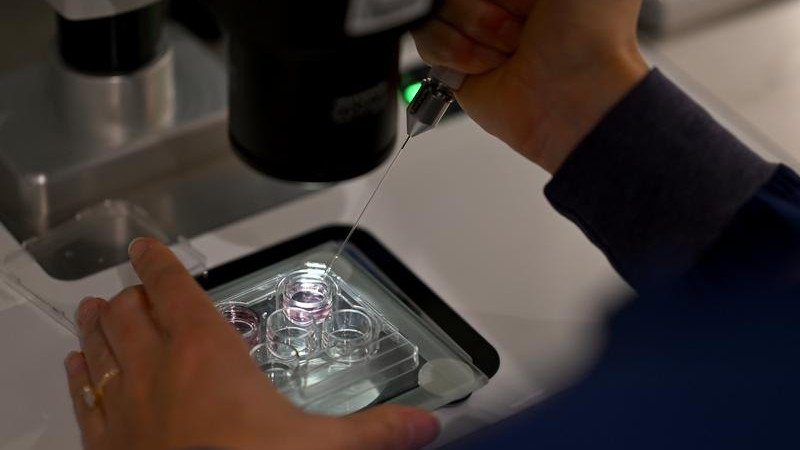 AI technology ‘STAR’ is a newcomer treating infertility issues.