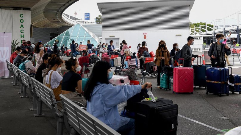 Australia's cuts to international student numbers may do more economic damage than US tariffs.