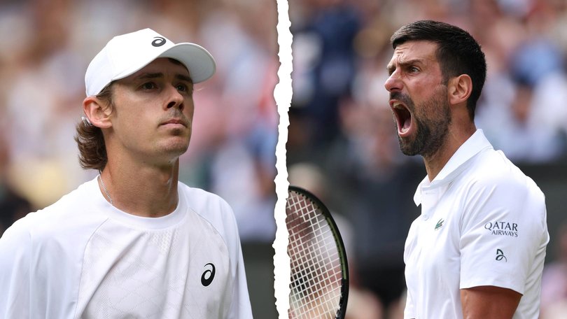 Alex de Minaur couldn't get past Novak Djokovic.