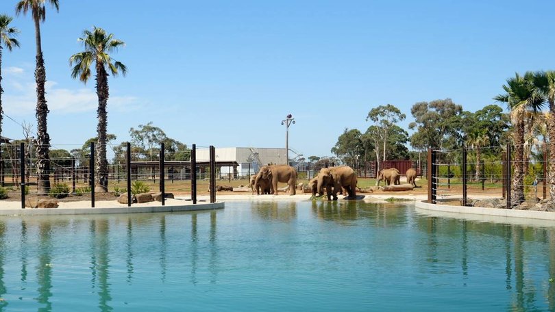 The elephant habitat at Werribee Open Range Zoo. Pic: Open House Melbourne.
