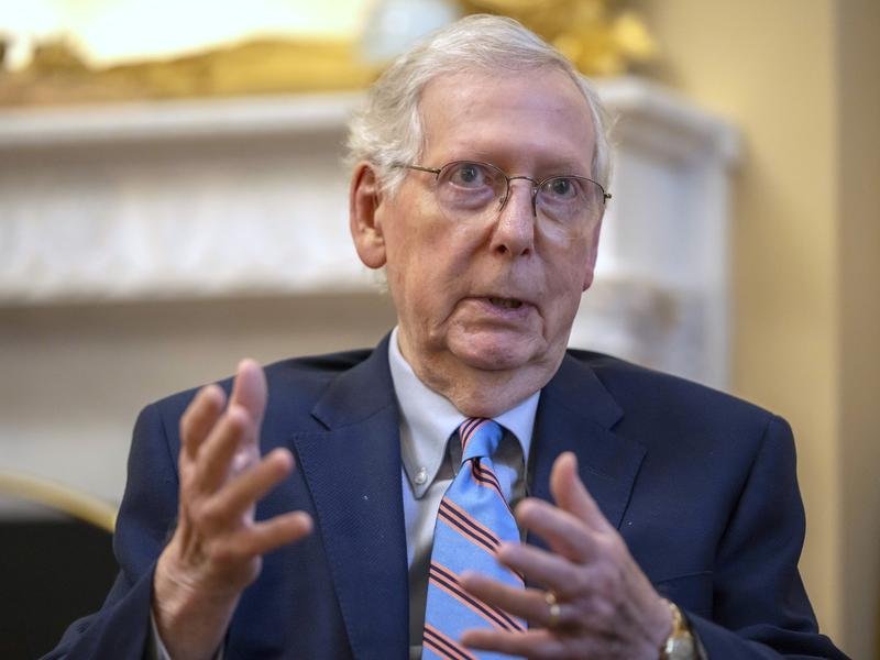 Republican Mitch McConnell has blasted his own party and labelled them ‘restrainers’.