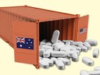 The Albanese Government has hit out at Donald Trump’s tariff regime after he announced a 200 per cent tariff on pharmaceuticals. 