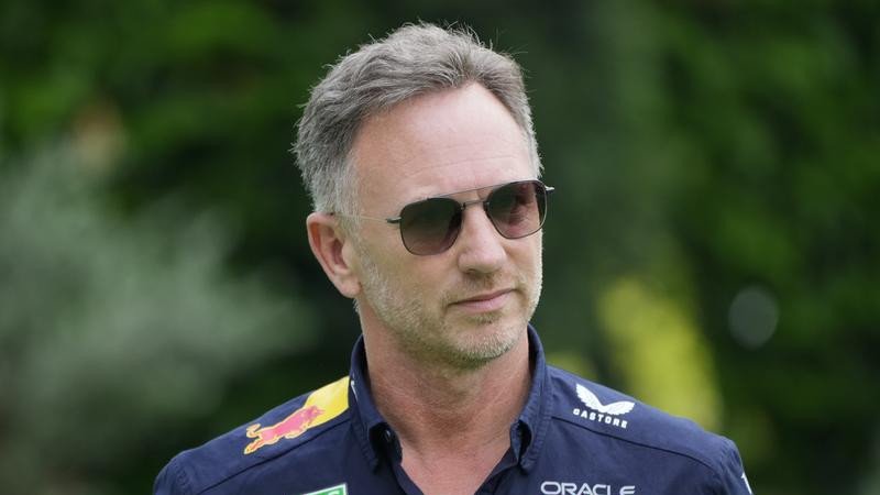 Red Bull team principal Christian Horner has been sacked.