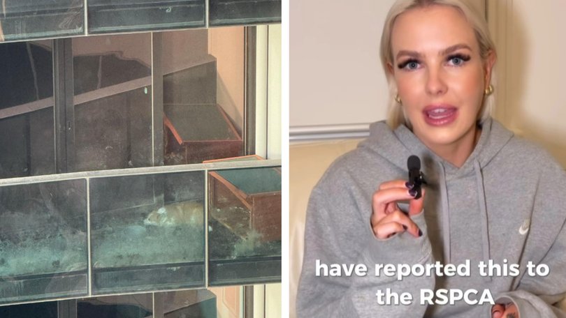 Distressing footage has surfaced showing a small dog confined to a tiny balcony in Melbourne’s CBD, sparking outrage from many, including an Animal Justice Party MP.